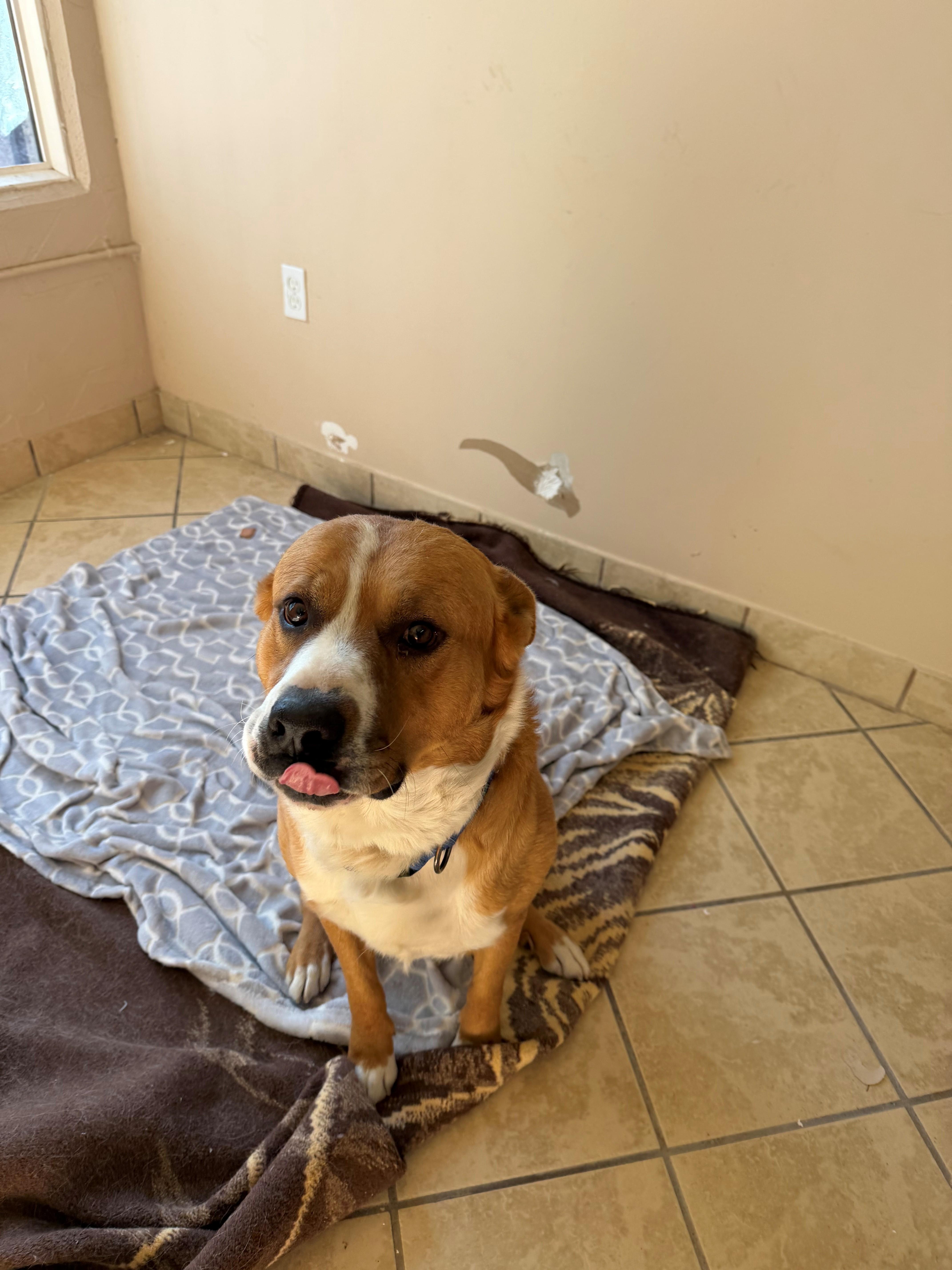 Porter — thumbnail 4