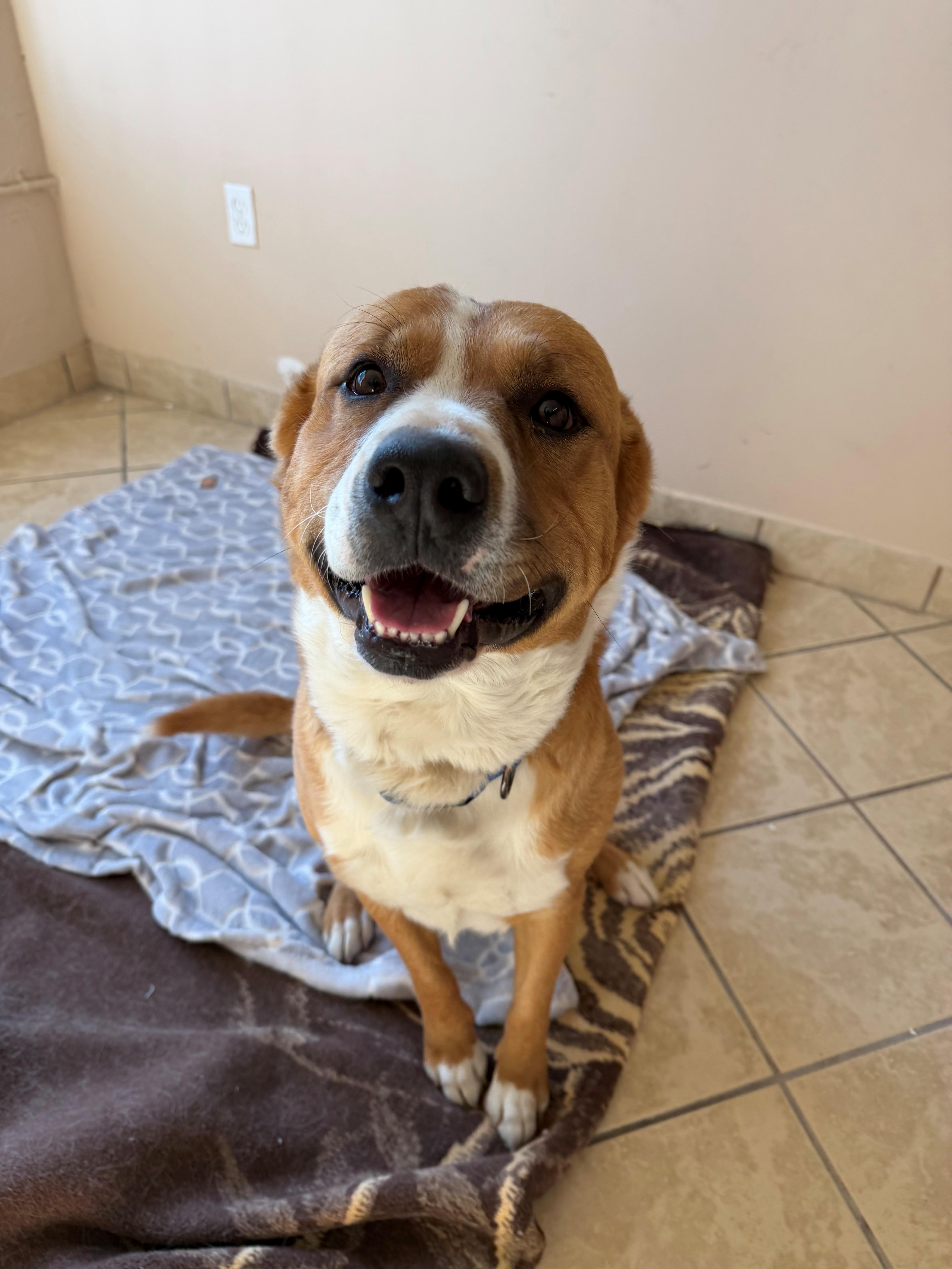 Porter — thumbnail 5