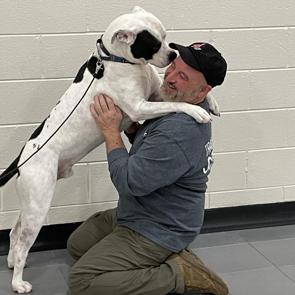 Enlarge Chance 250893, a Adoptable mixed breed in Escanaba, MI image 6/6