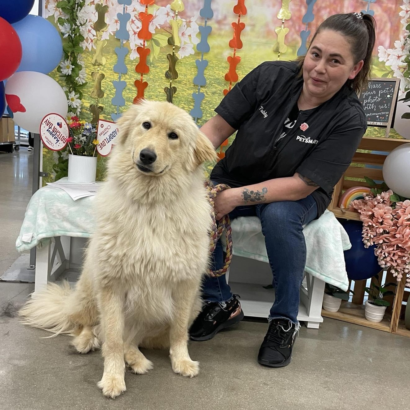 Sammy, a Adoptable mixed breed in Bryan, TX image 3/4