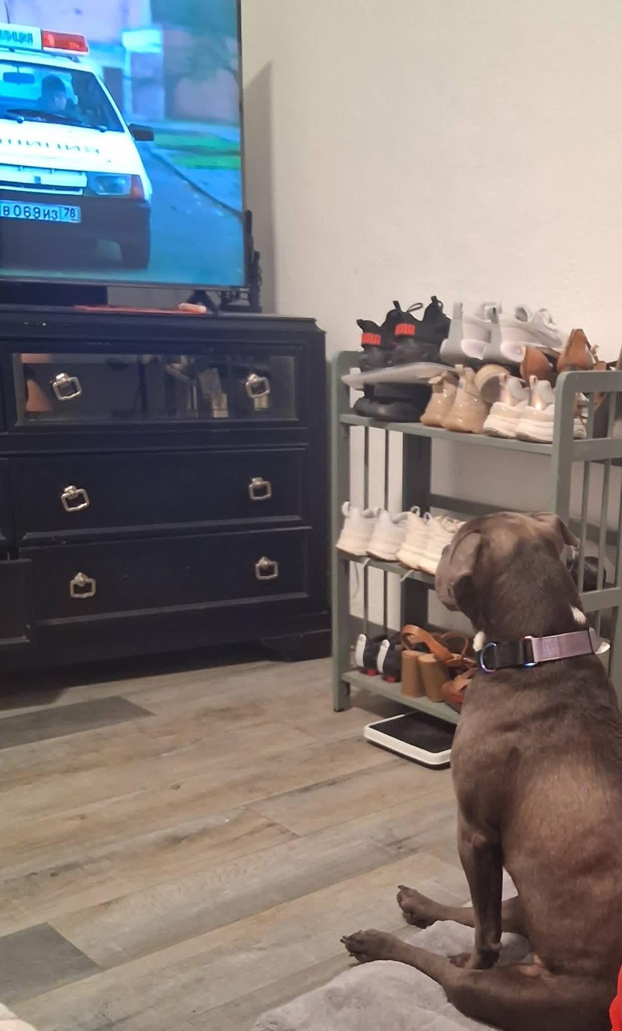 Shadow — thumbnail 2