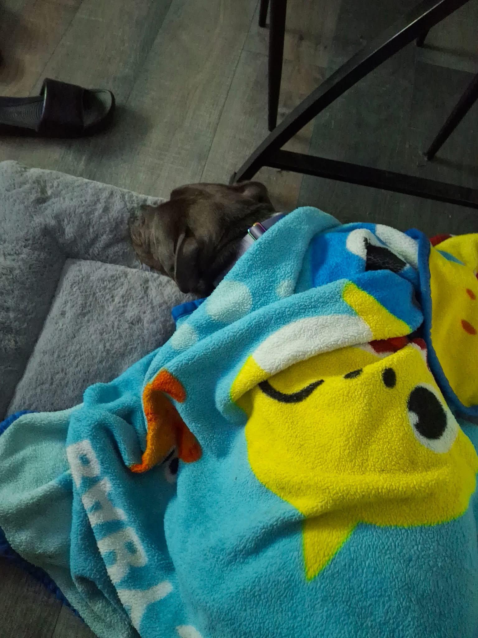 Shadow — thumbnail 5