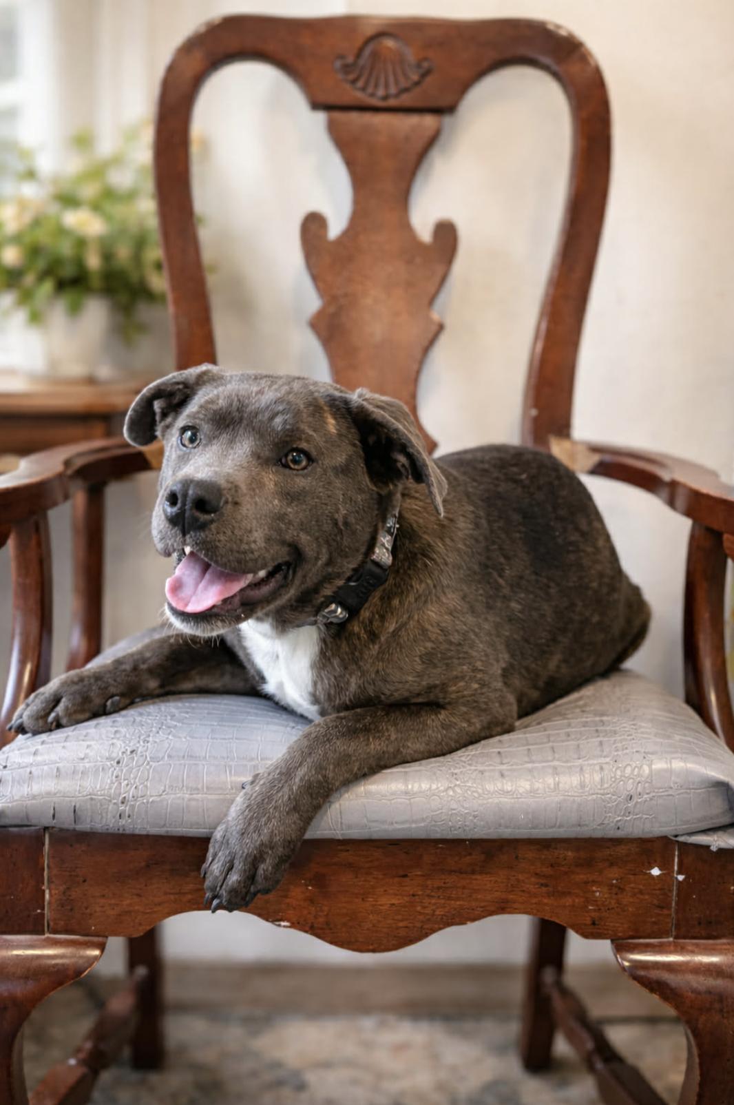 Chispitas — thumbnail 3