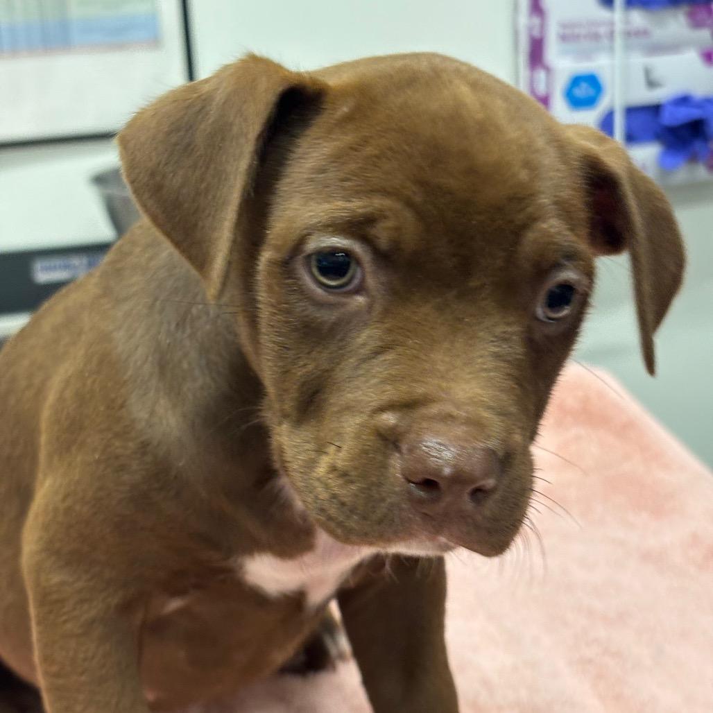 Bananarama — thumbnail 2