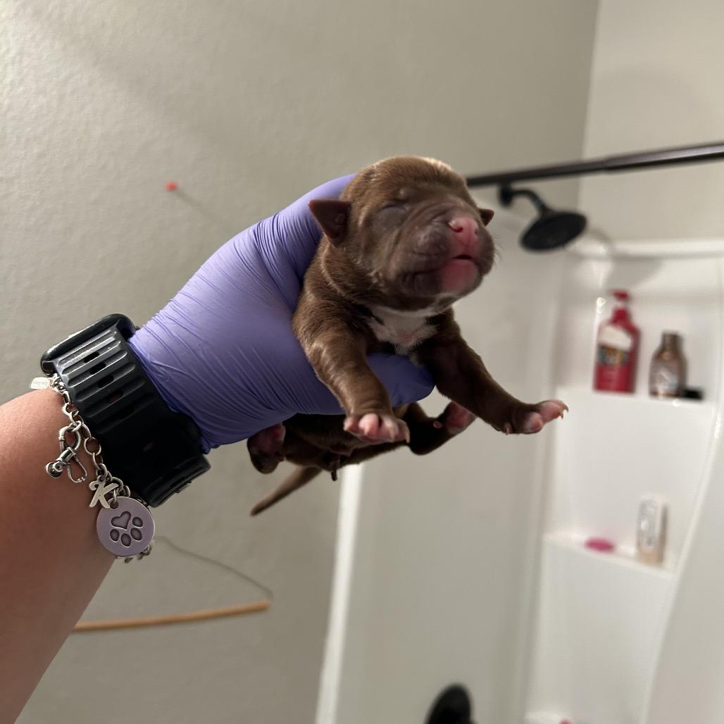 Bananarama — thumbnail 3