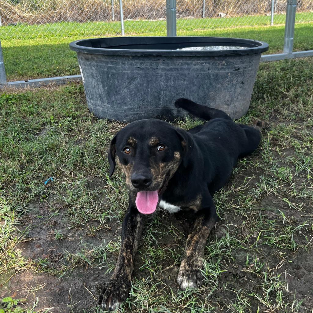 Balaguer thumbnail 2