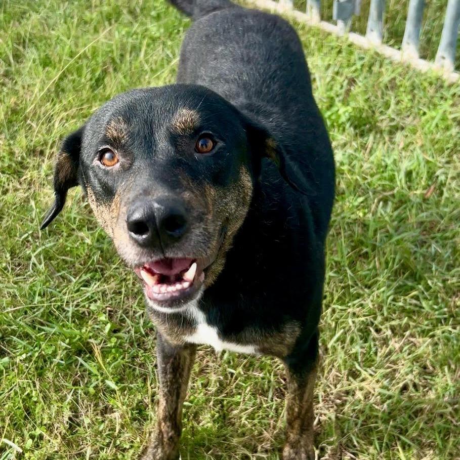 Balaguer thumbnail 3