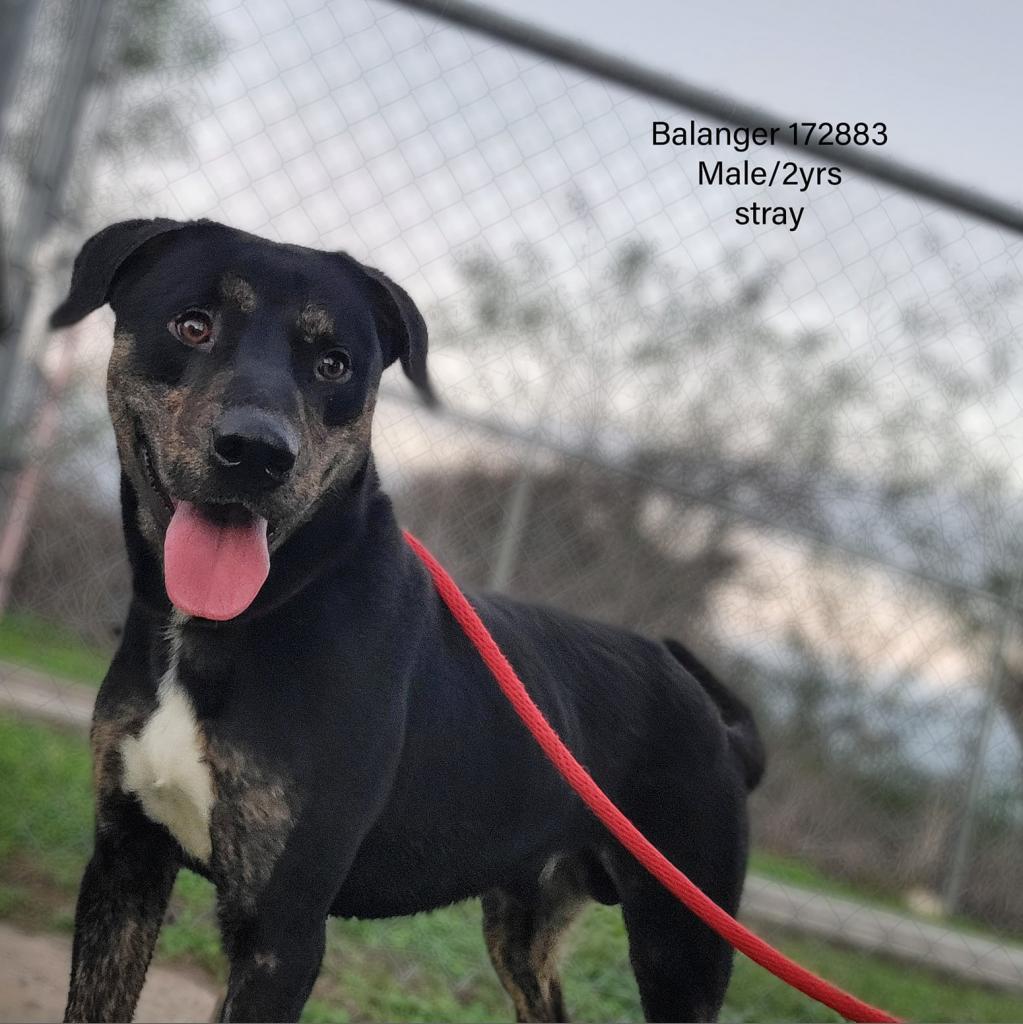 Balaguer thumbnail 4