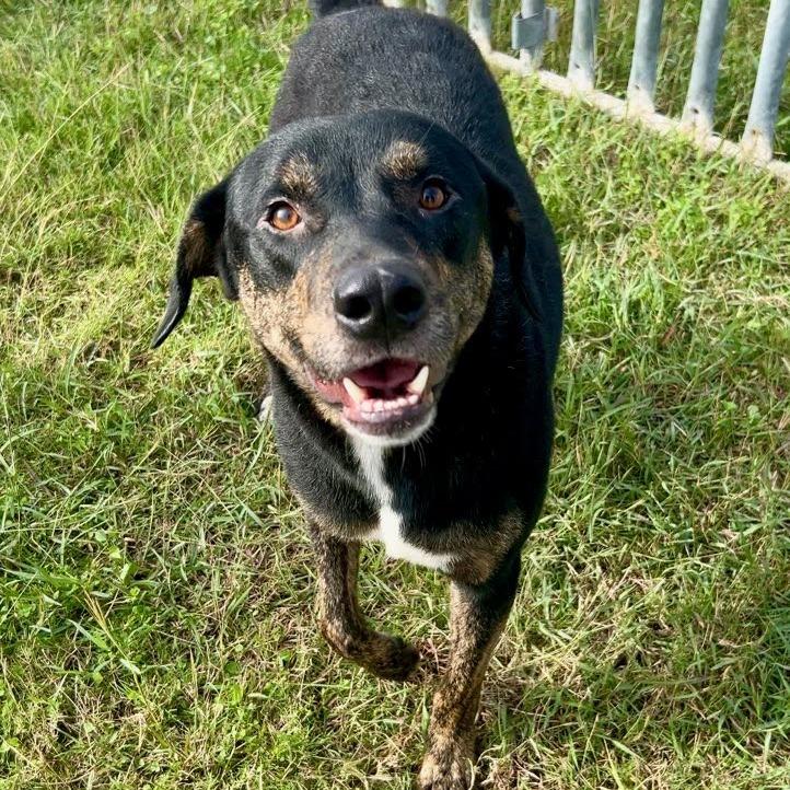 Balaguer thumbnail 5