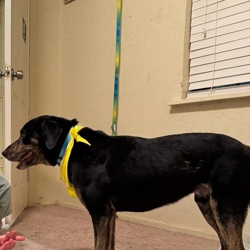 Balaguer thumbnail 6