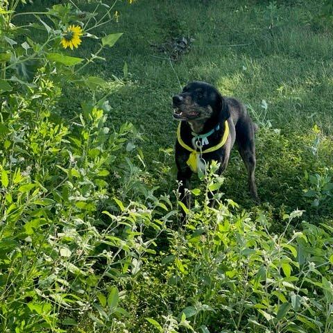 Balaguer thumbnail 7