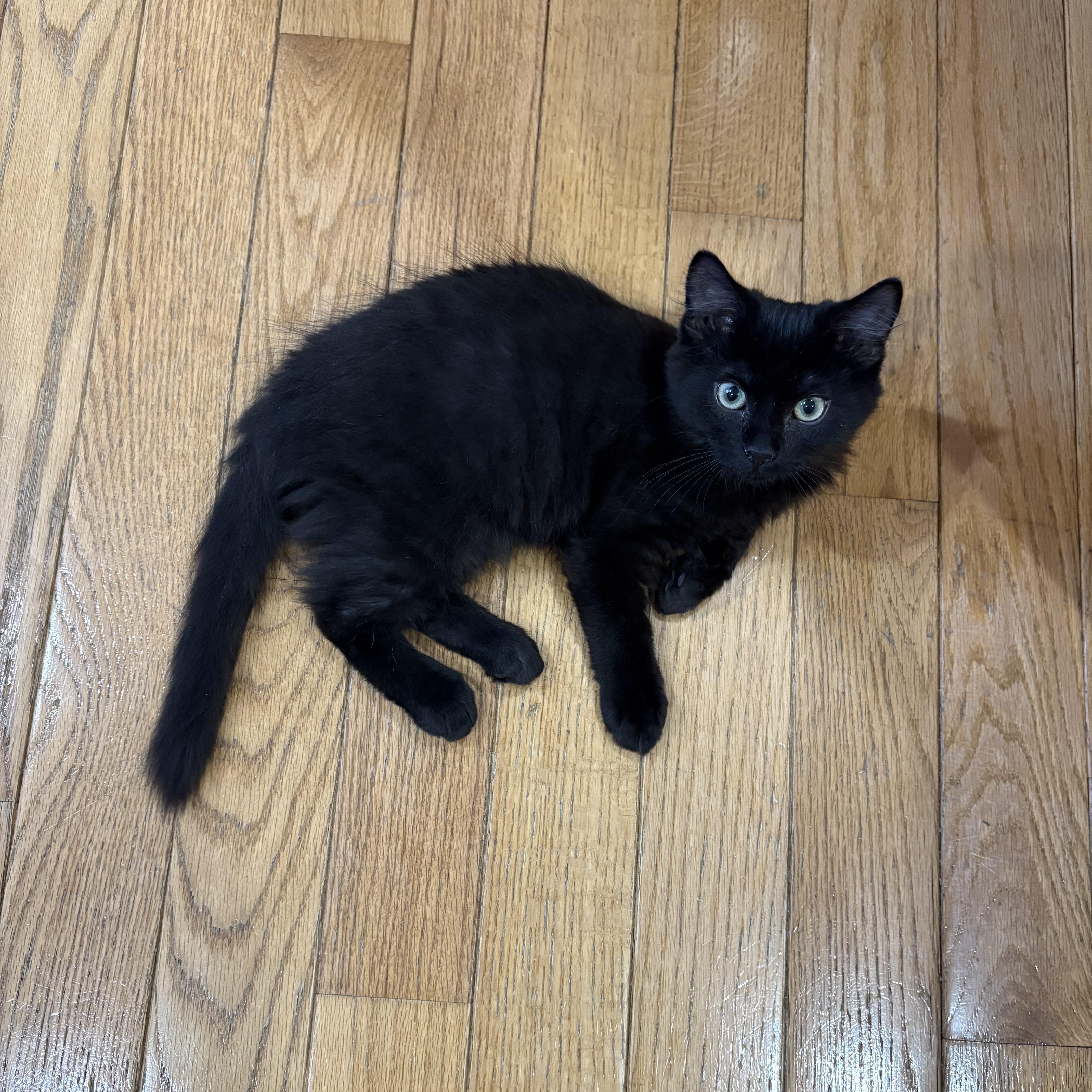 Frankie
