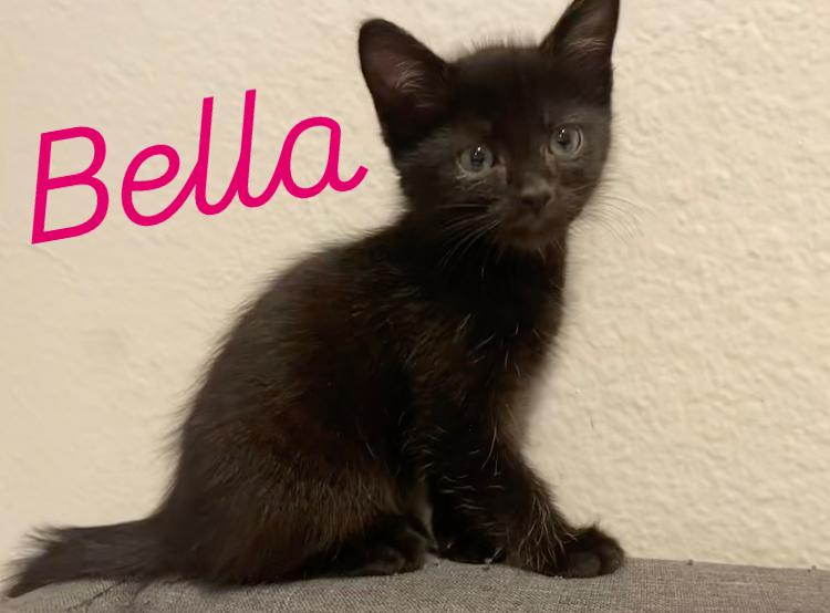 Bella