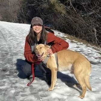 Enlarge Ricky, a Adoptable mixed breed in Pocatello, ID image 3/6