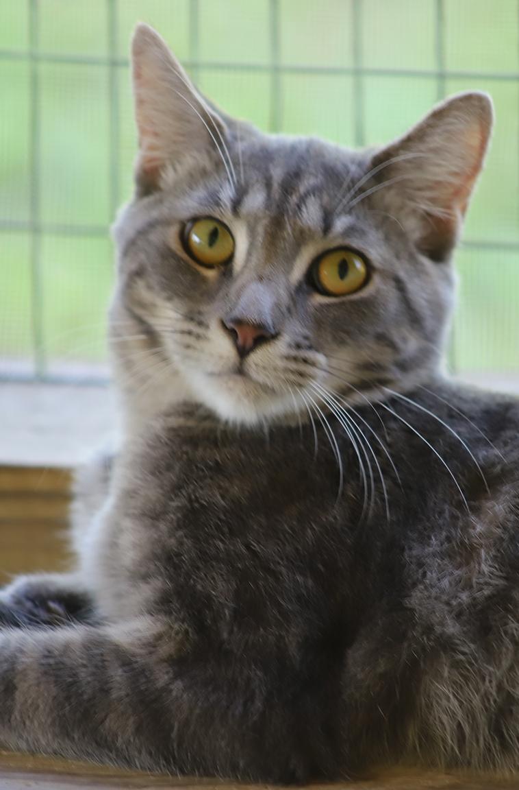 Skittles, Young Female unknown