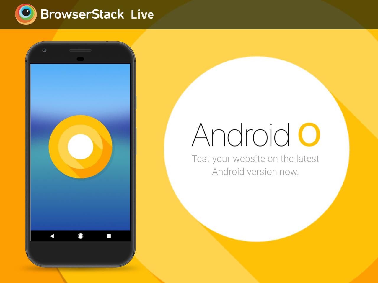 White Lace-iphone 16- Myk, a Adoptable mixed breed in Bettles, AK image 6/6