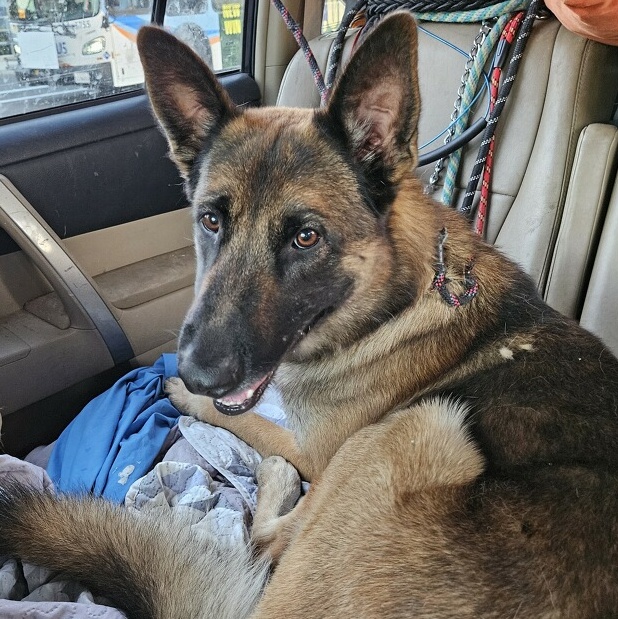 Chewy & Trevy  thumbnail 2