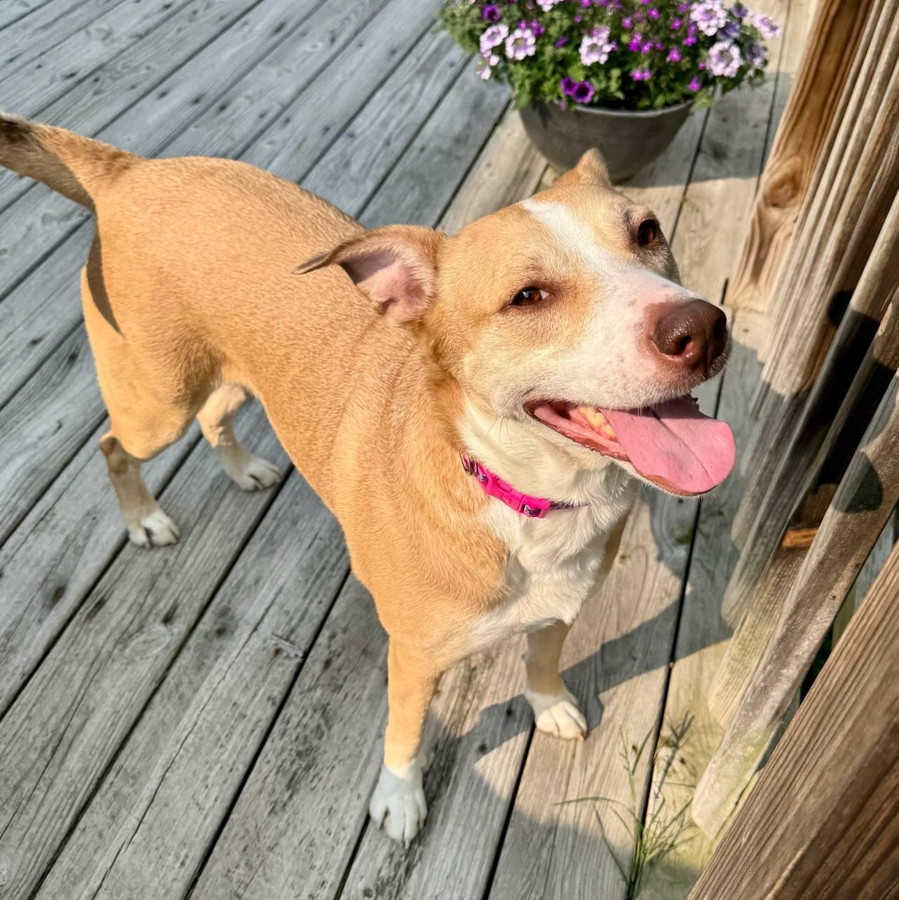 Jezzie photo 2
