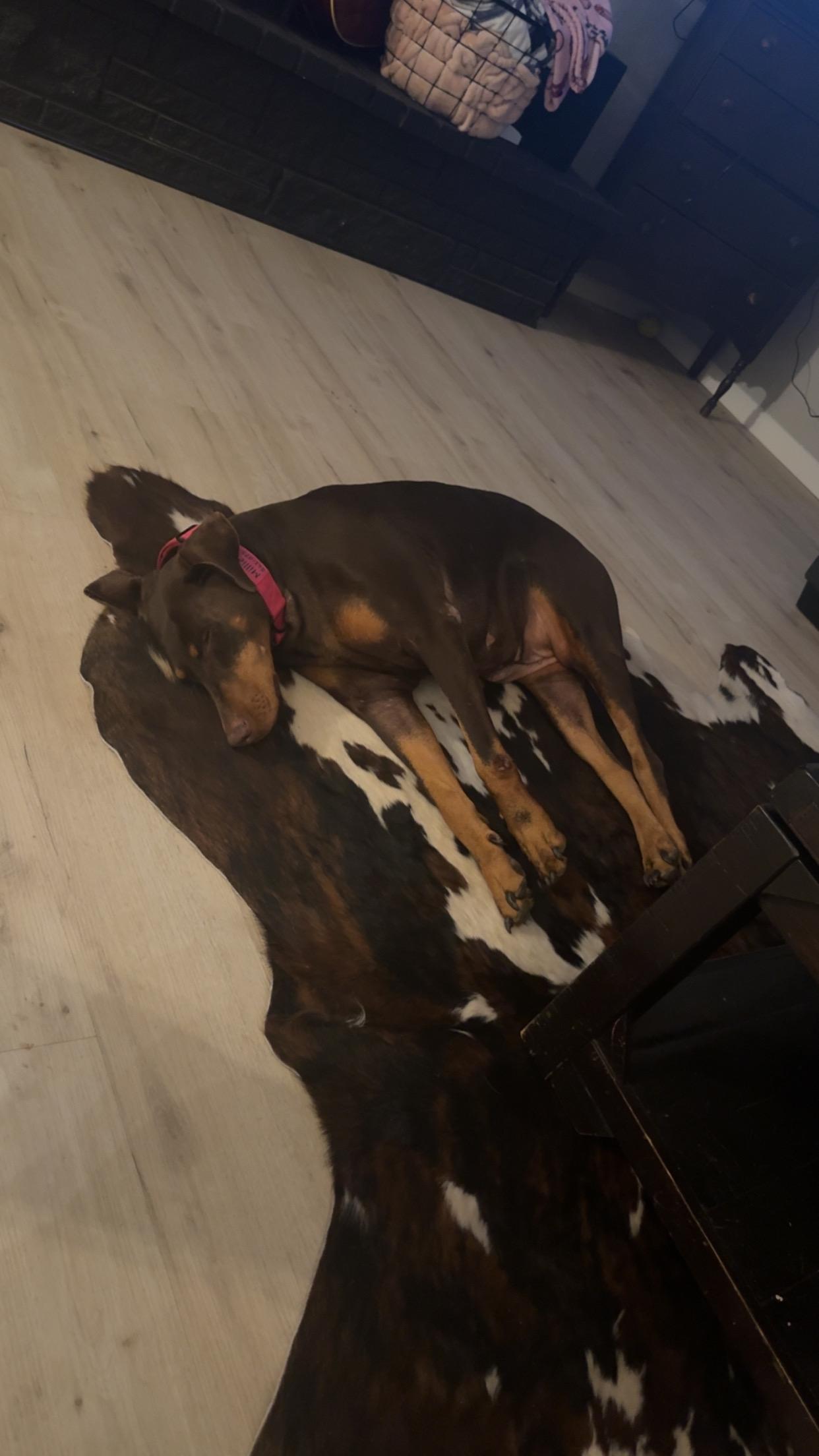 Millie Mae **COURTESY POST** 3