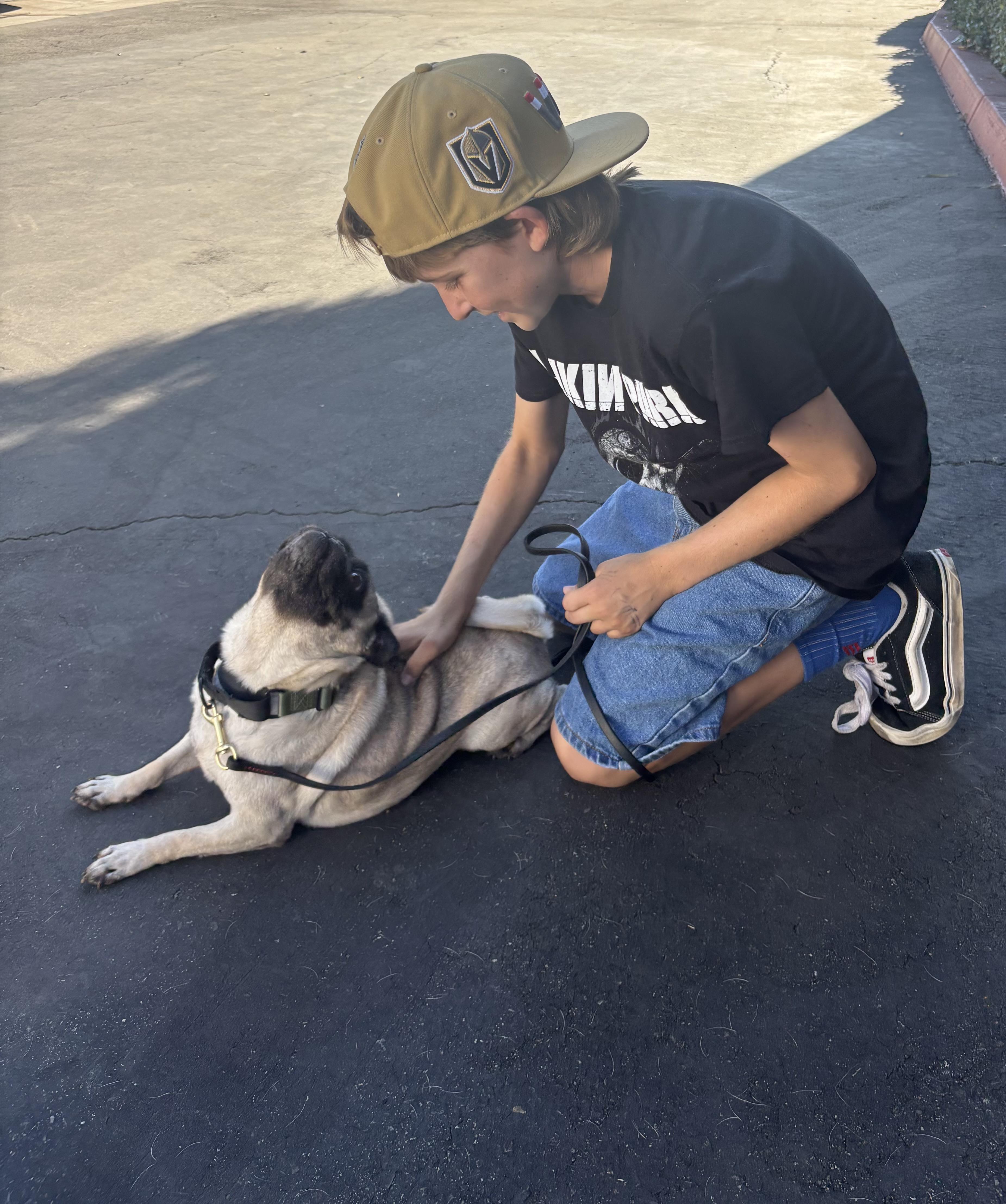 Willow, an adoptable Pug in Rancho Santa Margarita, CA image 4/6