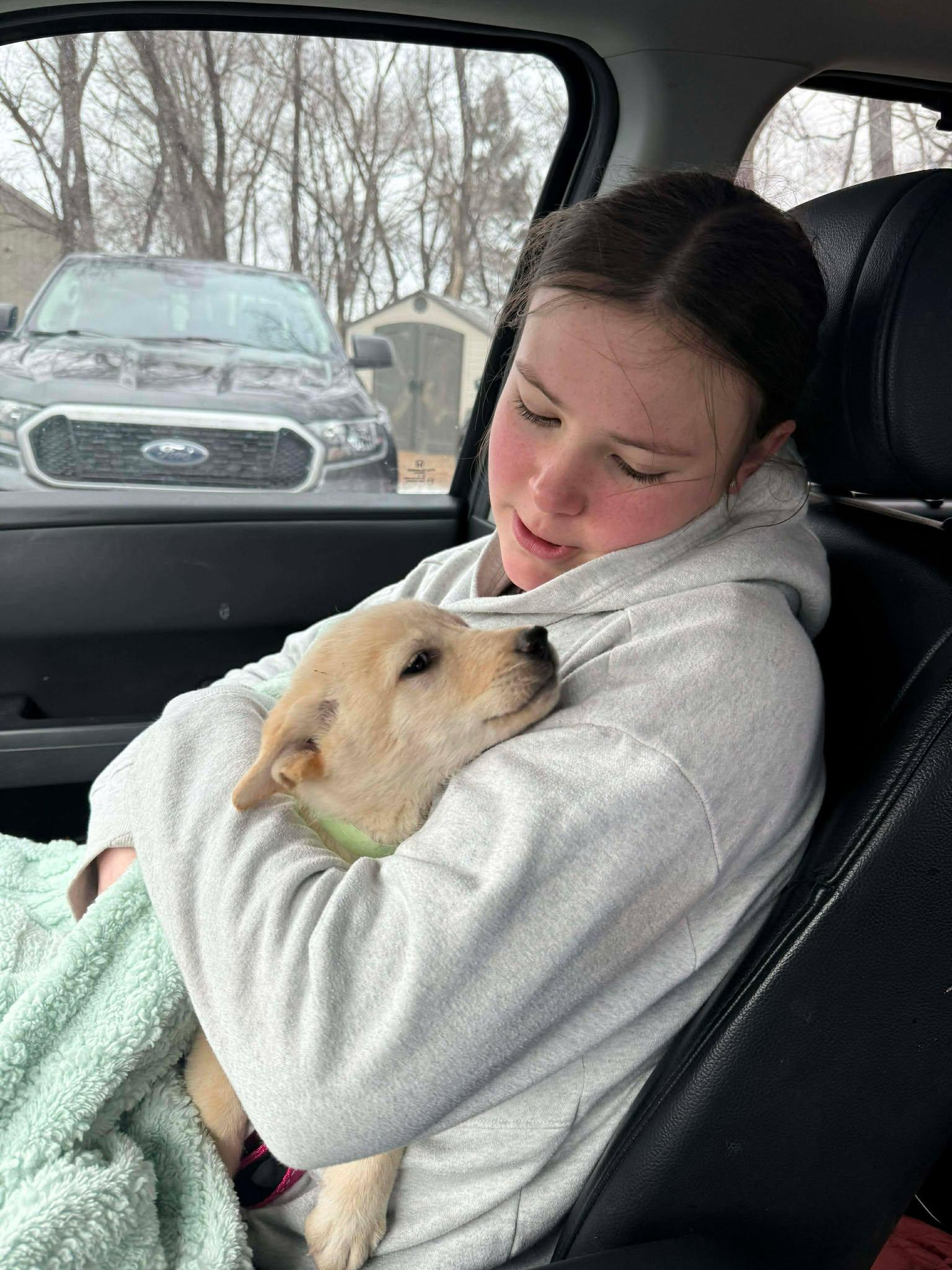 Enlarge Nalla, an adopted mixed breed in Sioux Falls, SD image 3/3