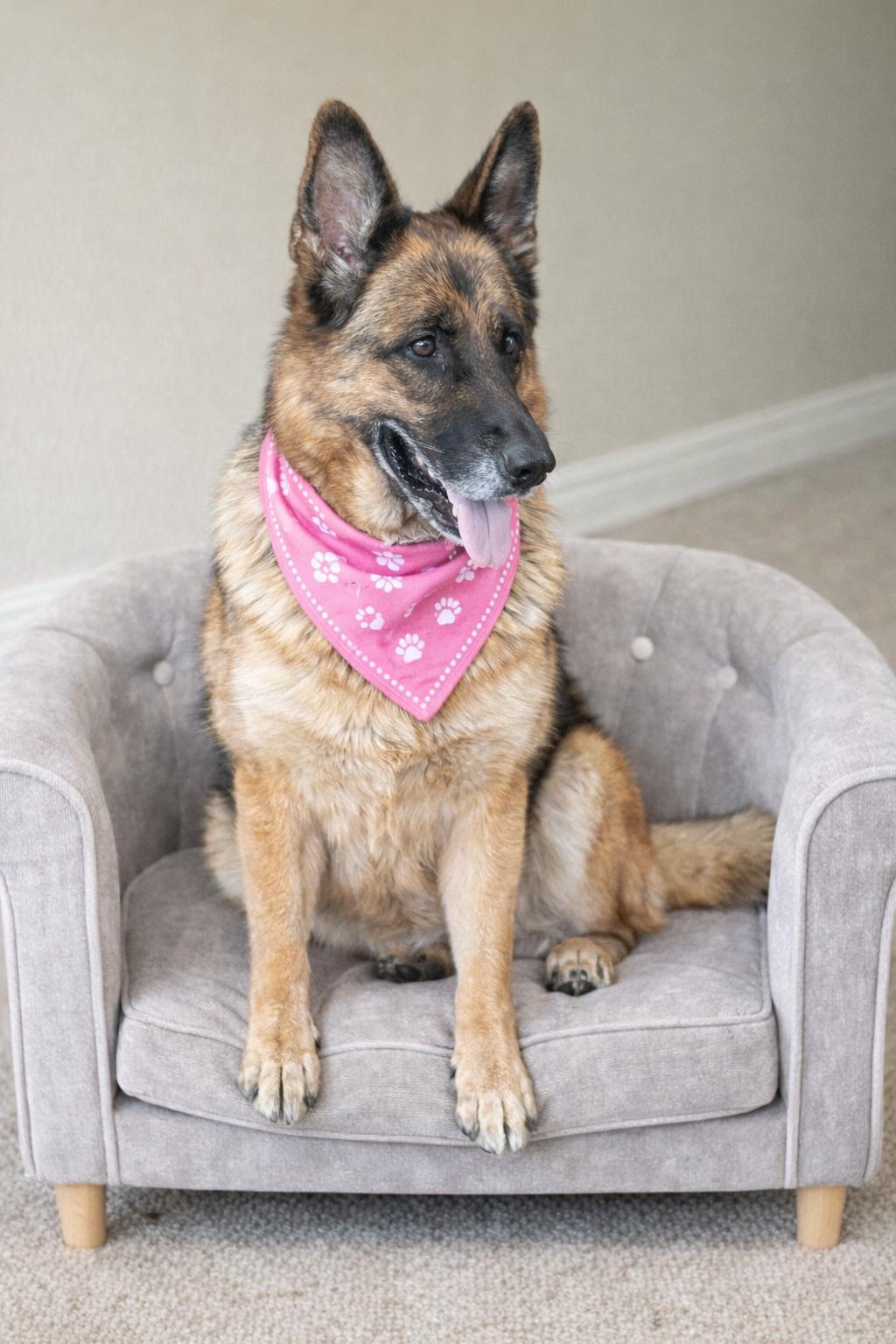 Megan and Magnus — thumbnail 4