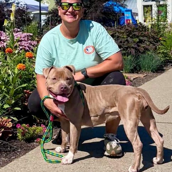 Enlarge Luna, a ADOPTABLE mixed breed in Buffalo, NY image 5/6