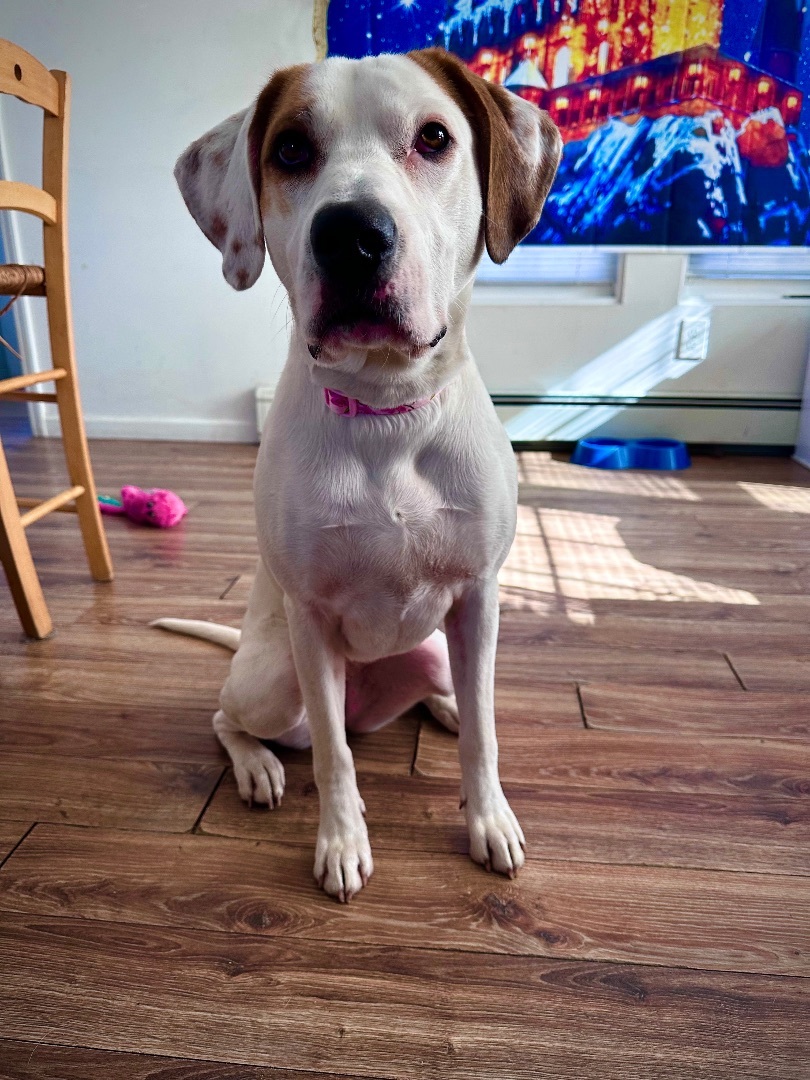 Lily, Young Female unknown
