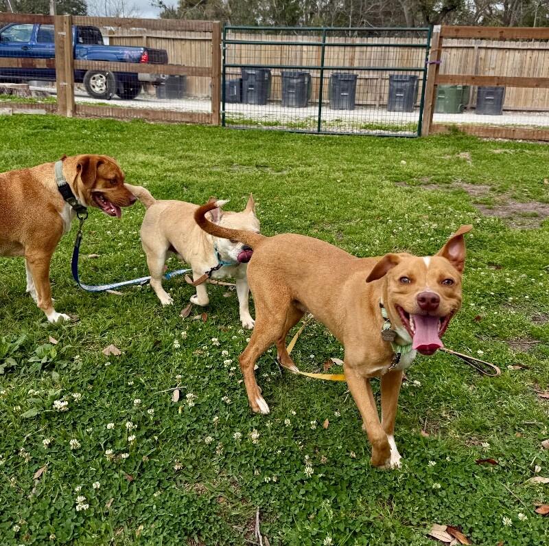 Jay Smiles The Little Ray Of Sunshine — thumbnail 3