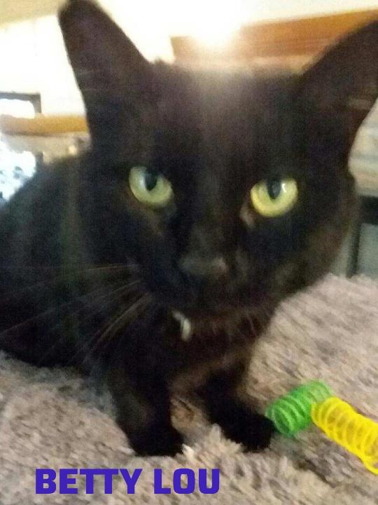 Betty Lou — thumbnail 3