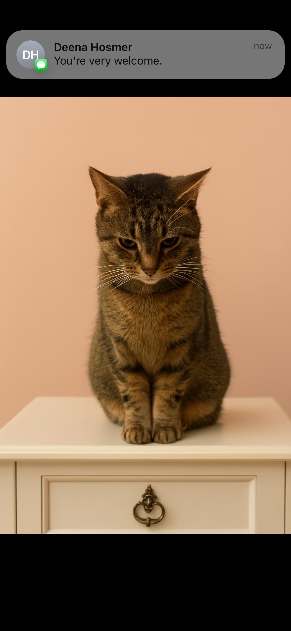 Enlarge Tigress, a Adoptable mixed breed in Howell, MI image 1/1