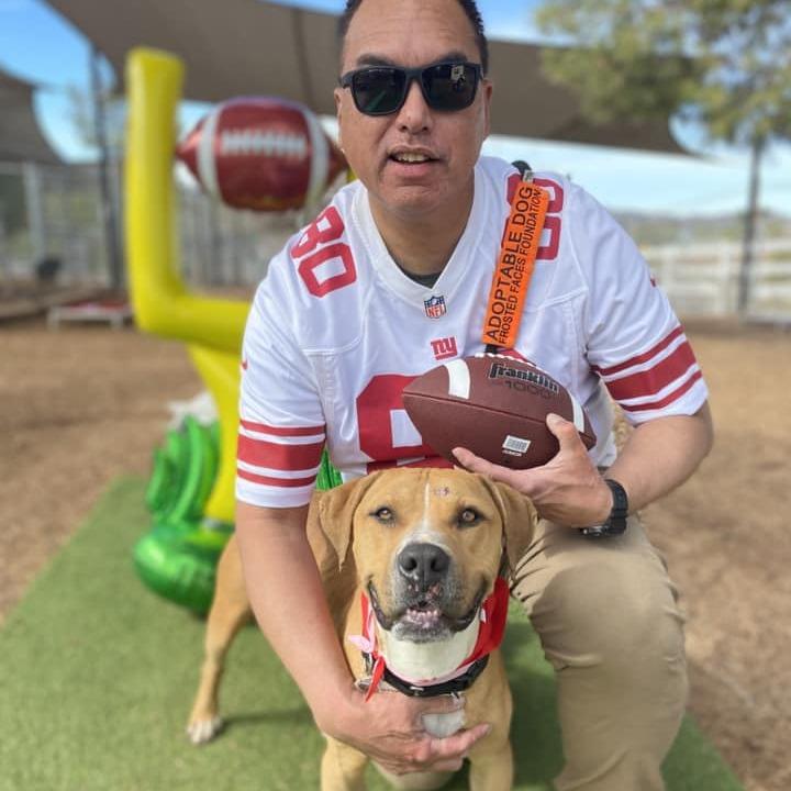 Enlarge Romel, a Adoptable Pit Bull Terrier in Ramona, CA image 5/6