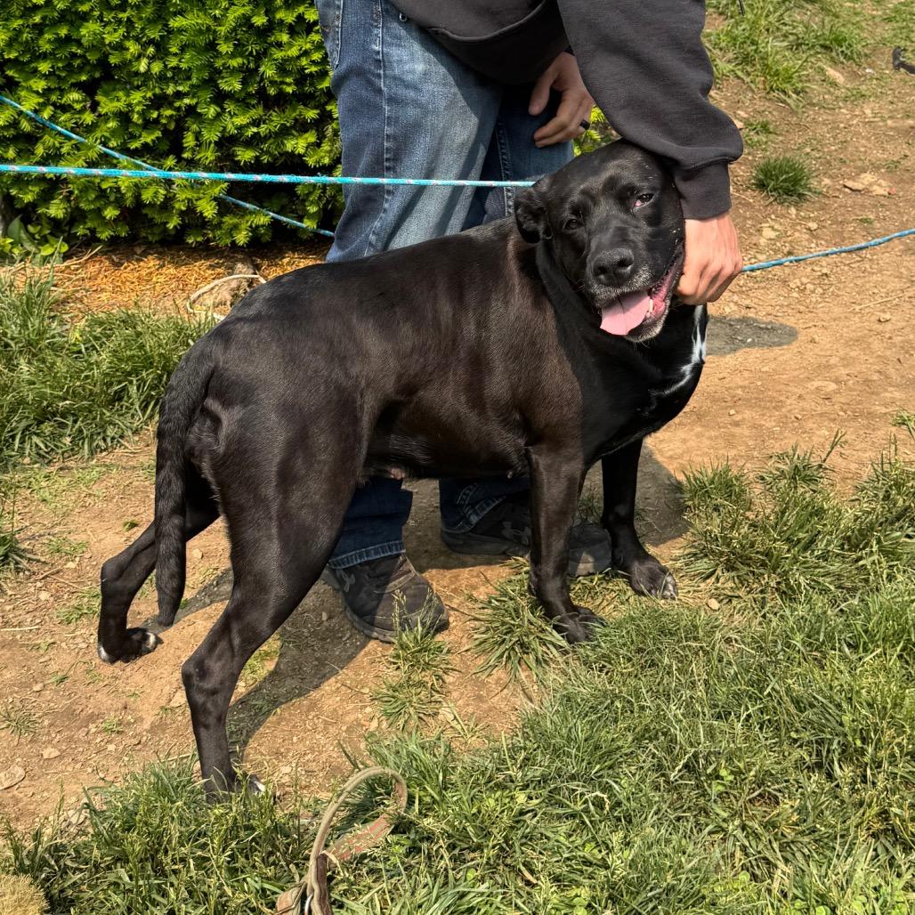 Rosemary thumbnail 2