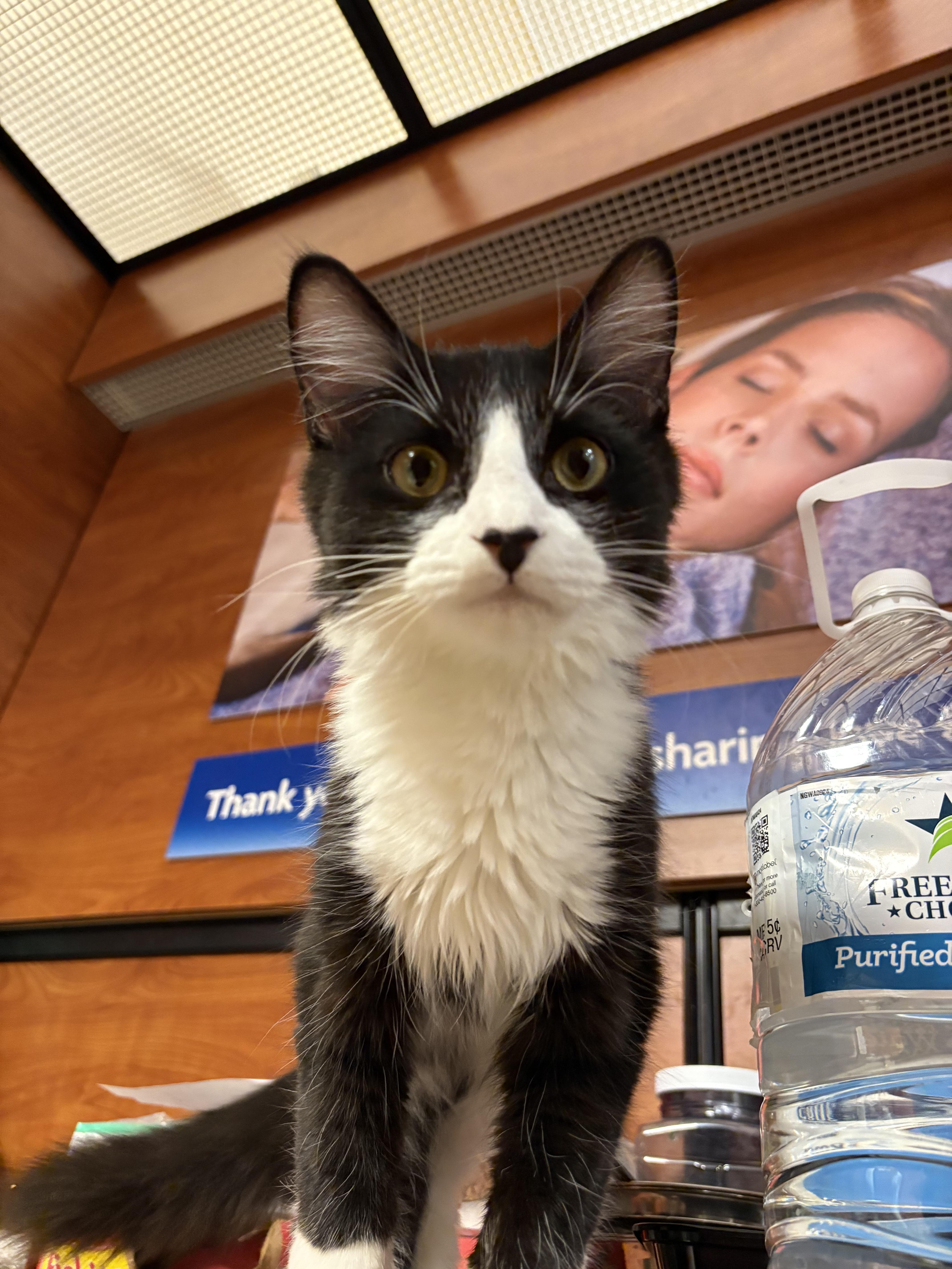 Francisco thumbnail 3