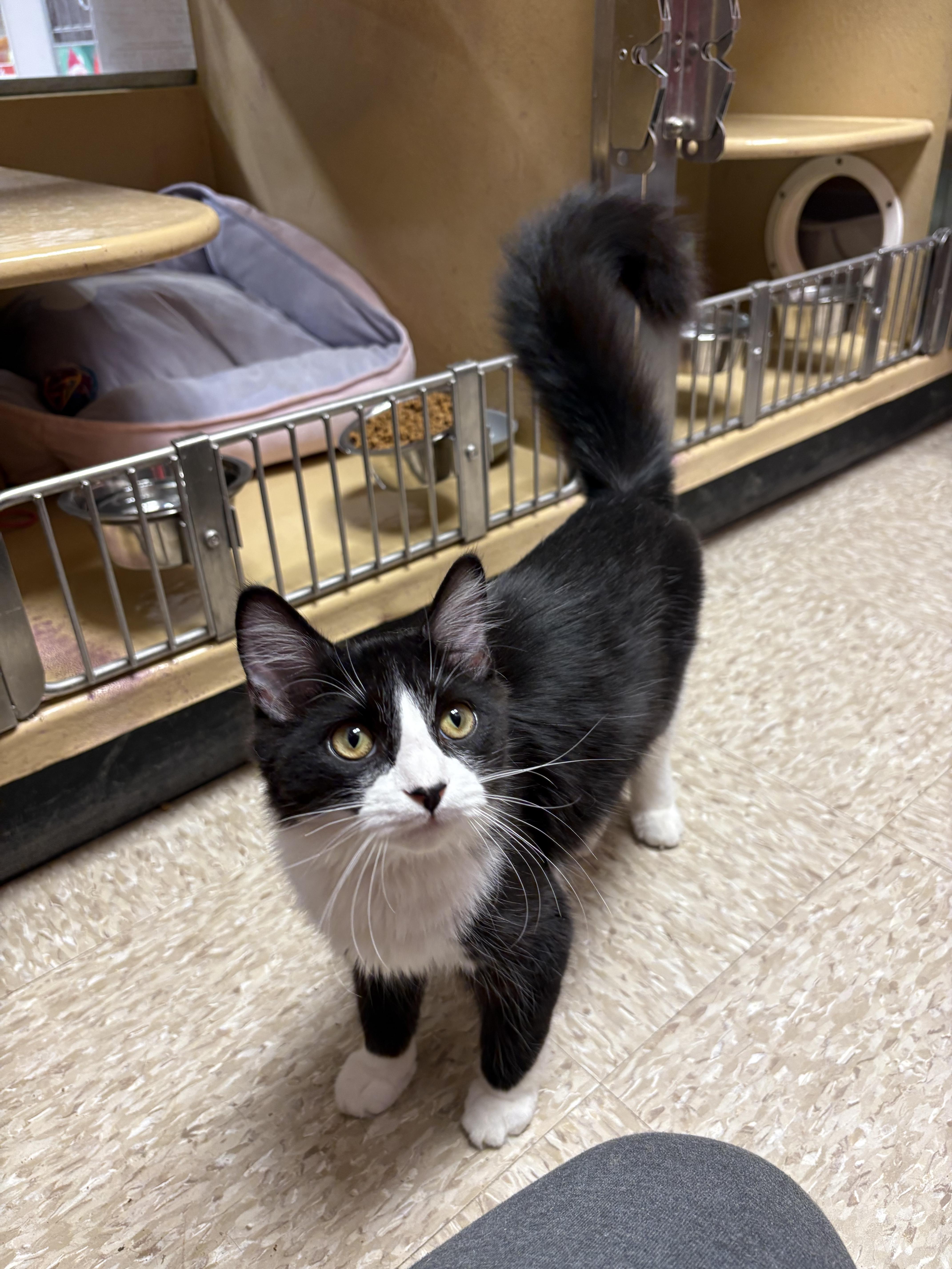 Francisco thumbnail 2