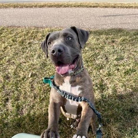 Agatha — thumbnail 2