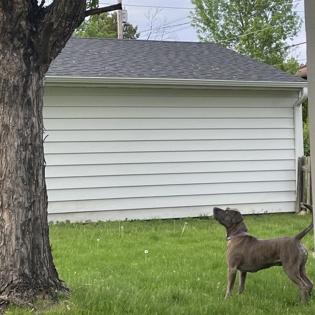 Agatha — thumbnail 3