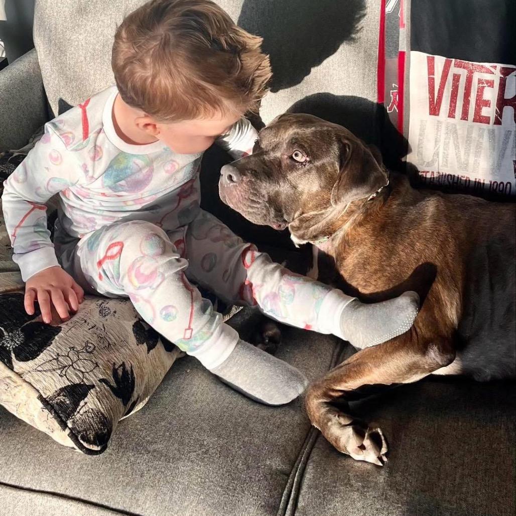 Agatha — thumbnail 4