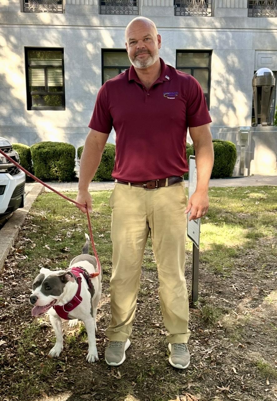 Mazzy, a Adoptable mixed breed in Watertown, CT image 3/4