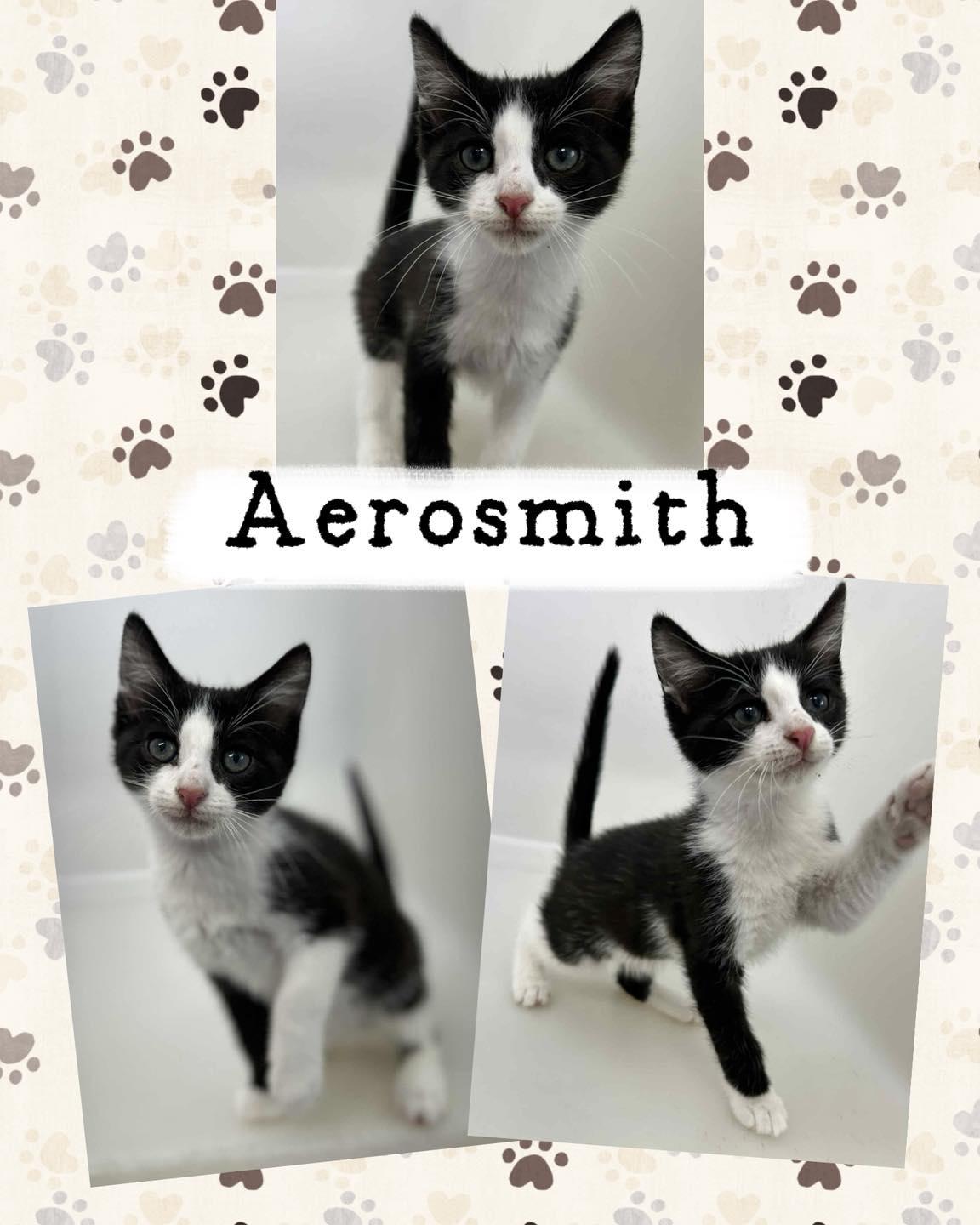 Aerosmith