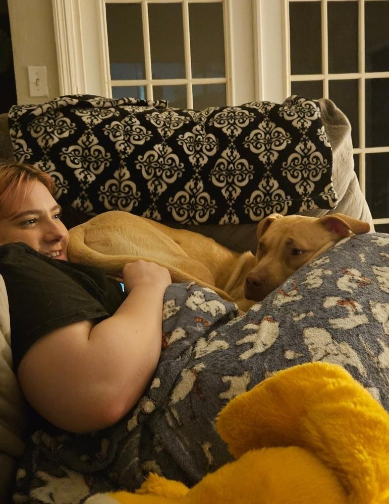 Enlarge Tater Tot, a Adoptable mixed breed in Orlando, FL image 2/4