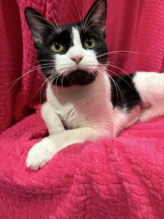 Felicity thumbnail 2