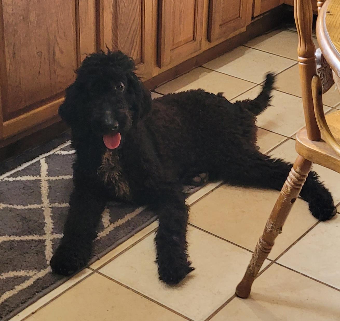 Sammy