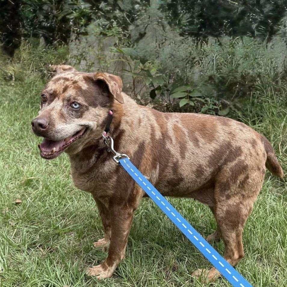 Peanut — thumbnail 2