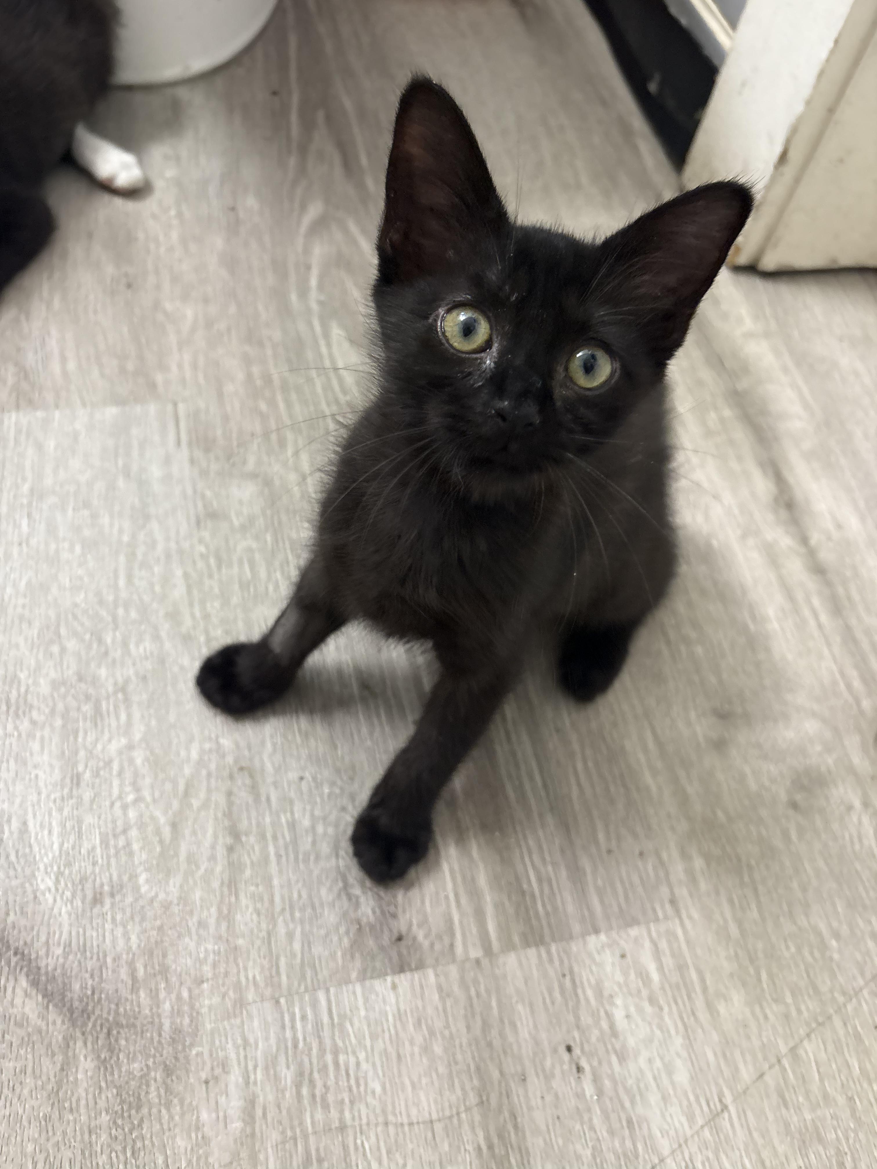 Salem