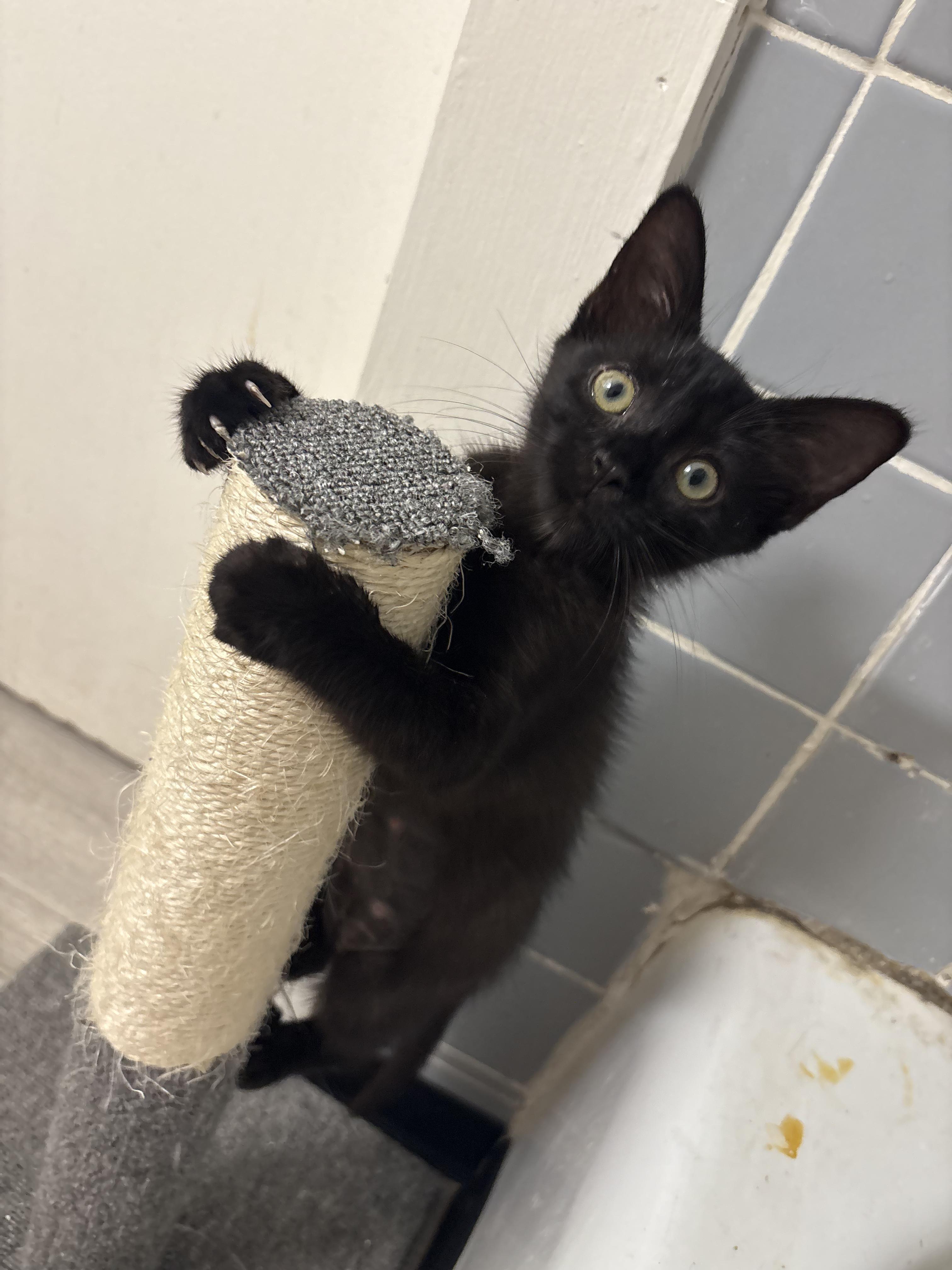 Salem