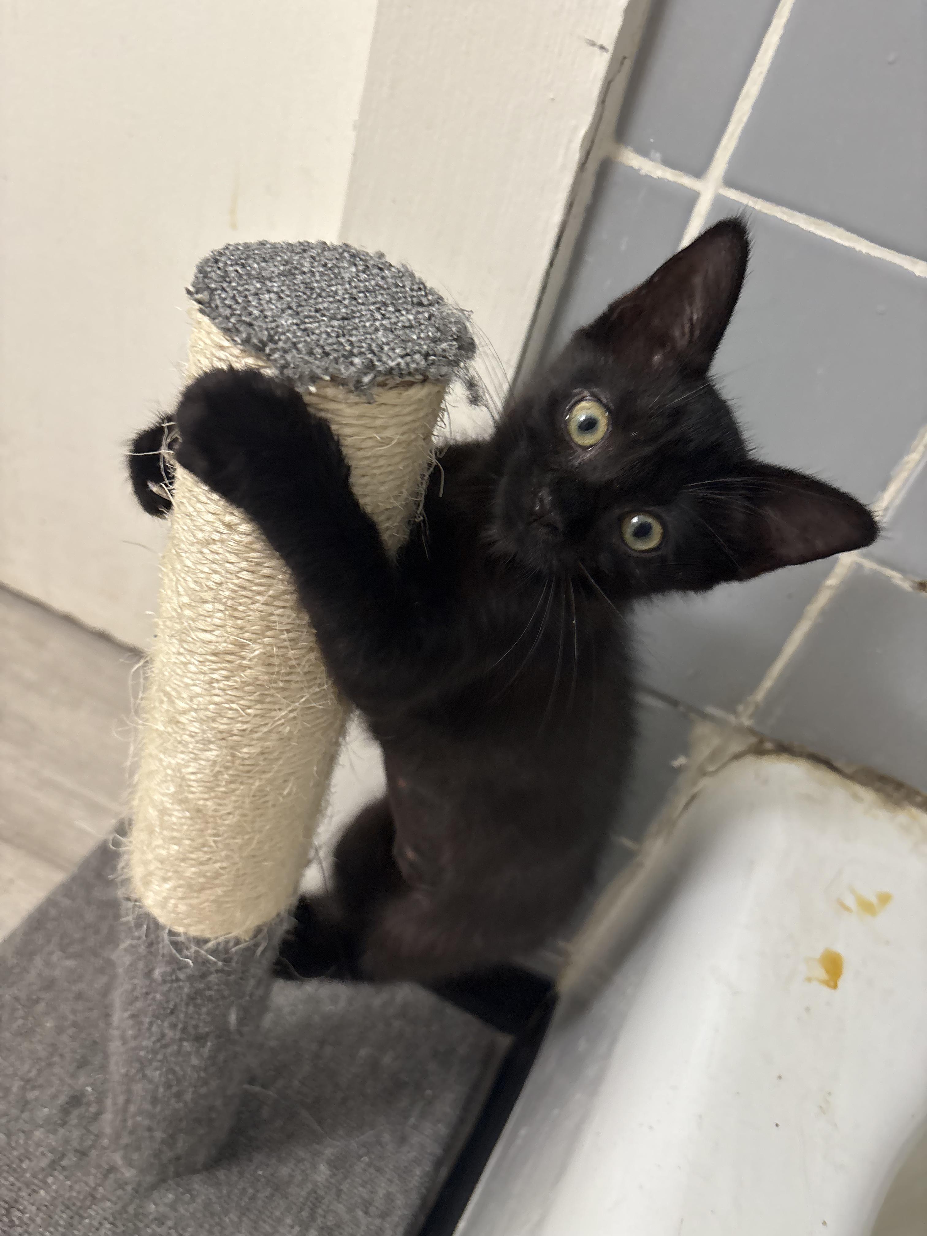 Salem