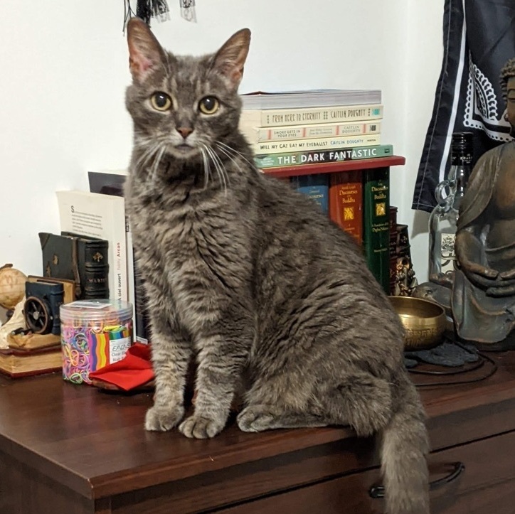 Zelda photo 2