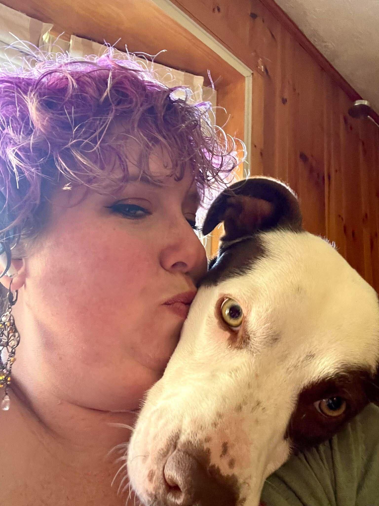 Enlarge Pistachio, a ADOPTABLE Pit Bull Terrier in Marshall, NC image 6/6