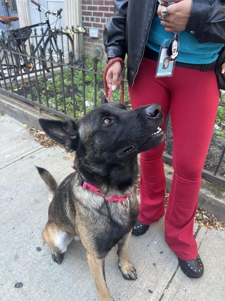 Niko Located In Ny thumbnail 5